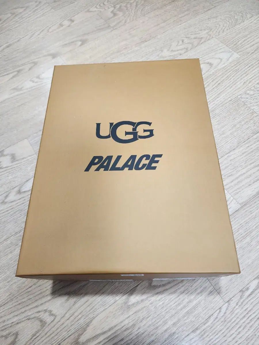 アグxパレス タスマン