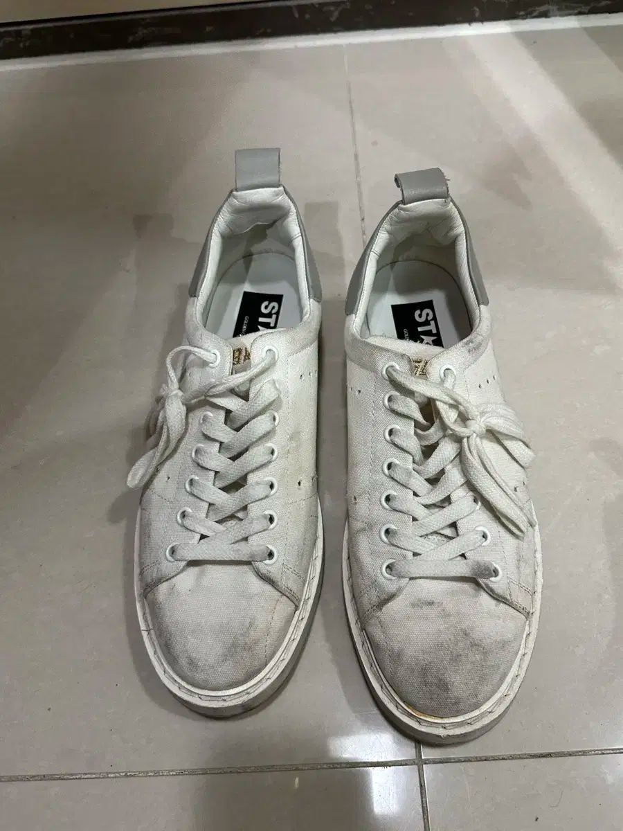 ゴールデングース メンズ STARTER(スターター) スニーカー 39サイズ