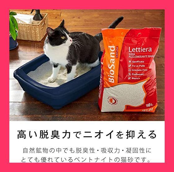 動物像・生物画 油絵 熊谷守一 ねこ F4 額付き 手描き 肉筆