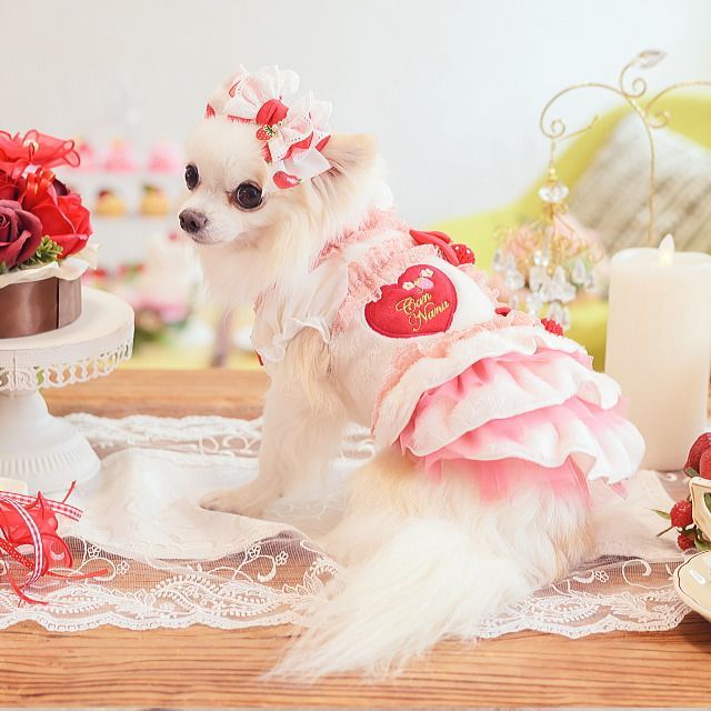 犬服 ドレス 冬服 1169冬いちごデコレーションワンピース レッド SS Lサイズ 犬用衣類セット 犬服 