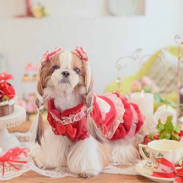 1169冬いちごデコレーションワンピース