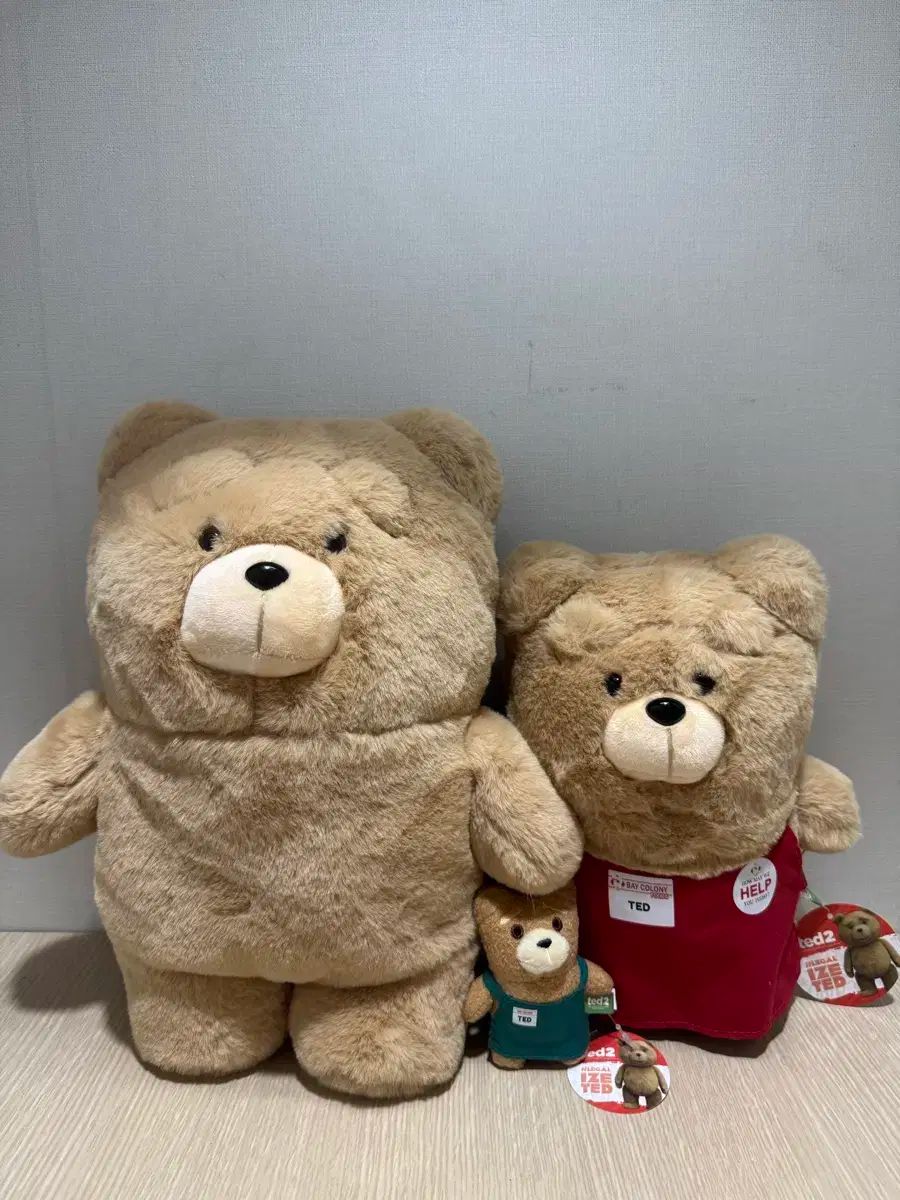 テッド2 ぬいぐるみ 6種類セット テッド2 ぬいぐるみ 6種類セット ted2