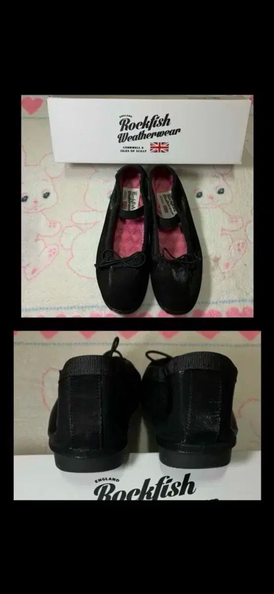 ロックフィッシュ_割引完了早い連絡