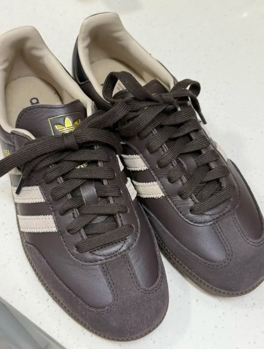 アディダス サンバ OG ダークブラウン 245