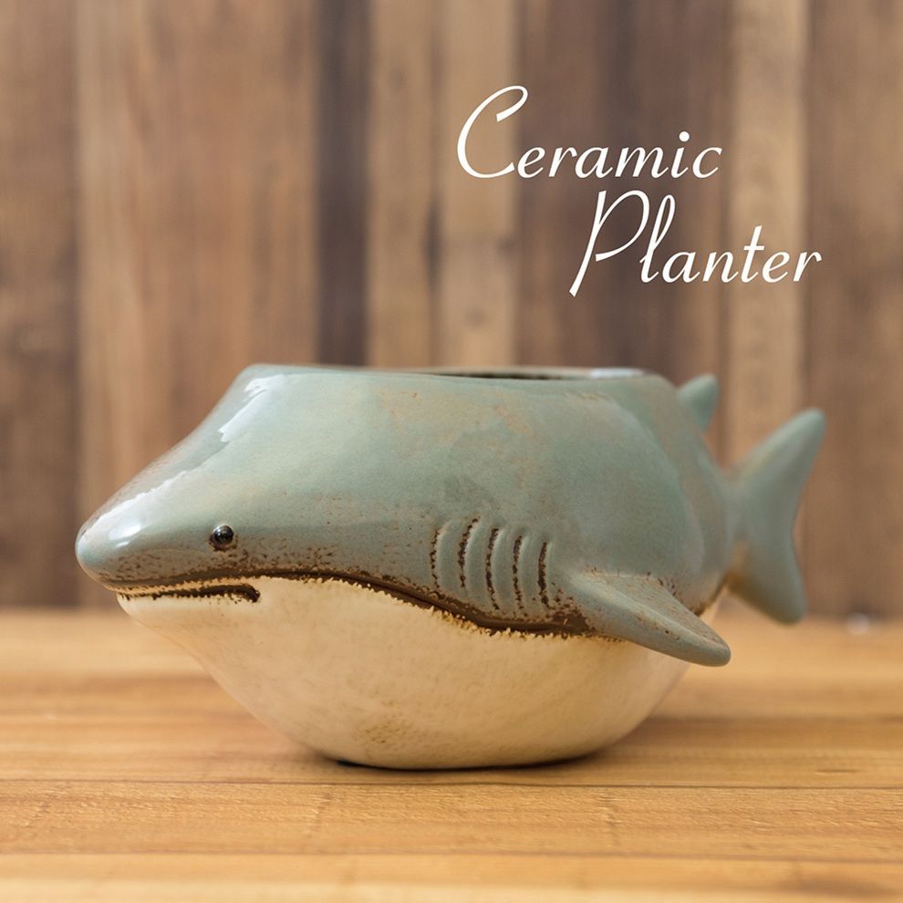 インテリア小物 【全国送料無料】セラミックプランター Shark サメ
