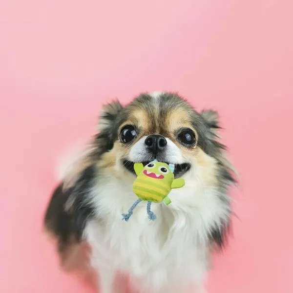新品☆未使用☆カラフルモンスター☆犬用おもちゃ☆ペット☆10匹 新品☆未使用☆カラフルモンスター☆犬用おもちゃ☆ペット☆10匹