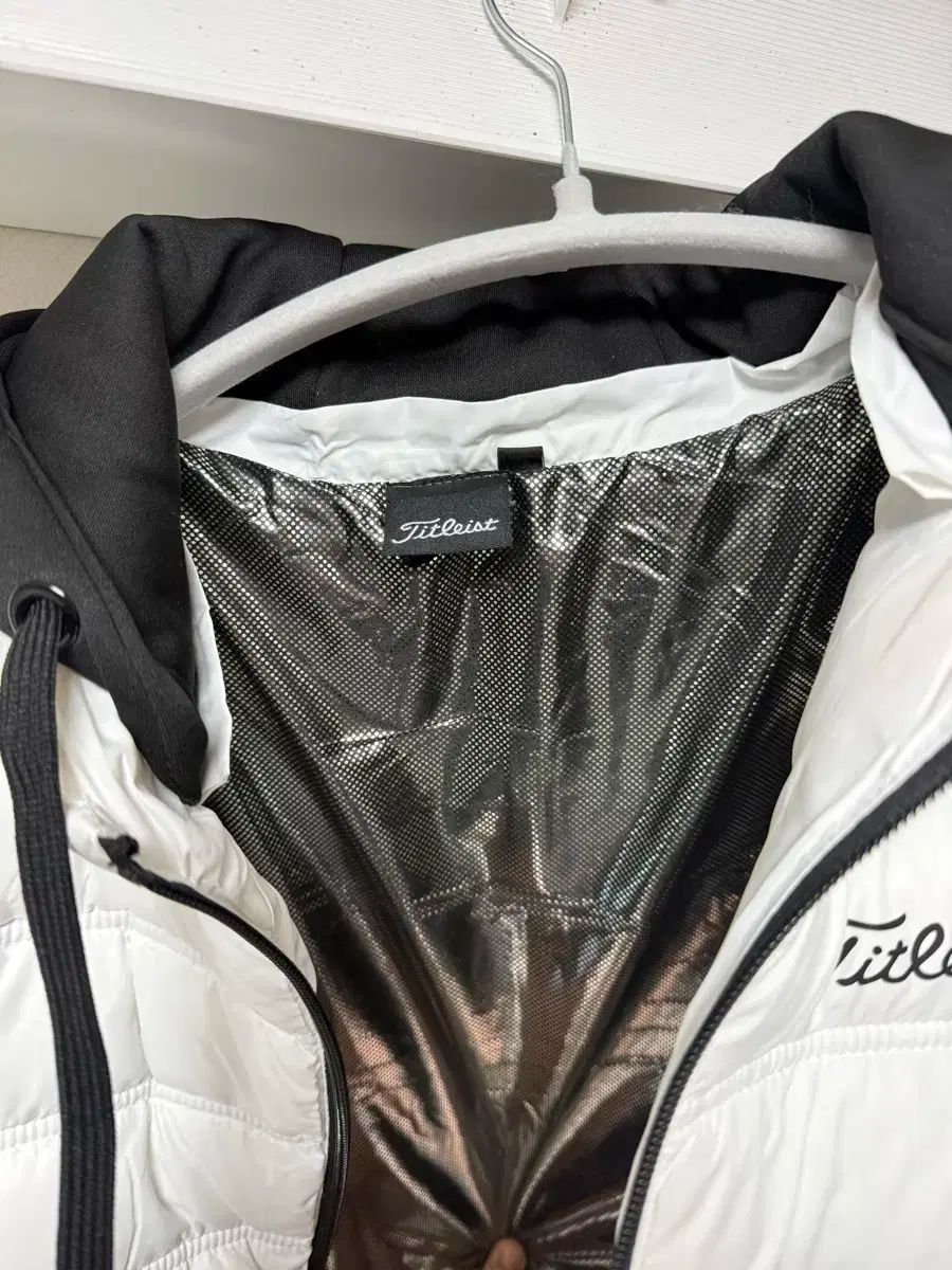 不詳/作者不詳/鉄砲百合/ユリ図/布袋屋掛軸HG-343 不詳/作者不詳/鉄砲百合/ユリ図/布袋屋掛軸HG-343