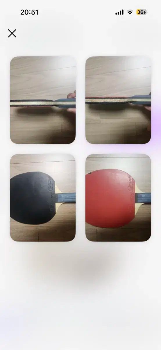 イジーン グォン エクシーオム 卓球ラケット