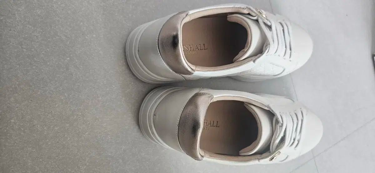 レディース スニーカー