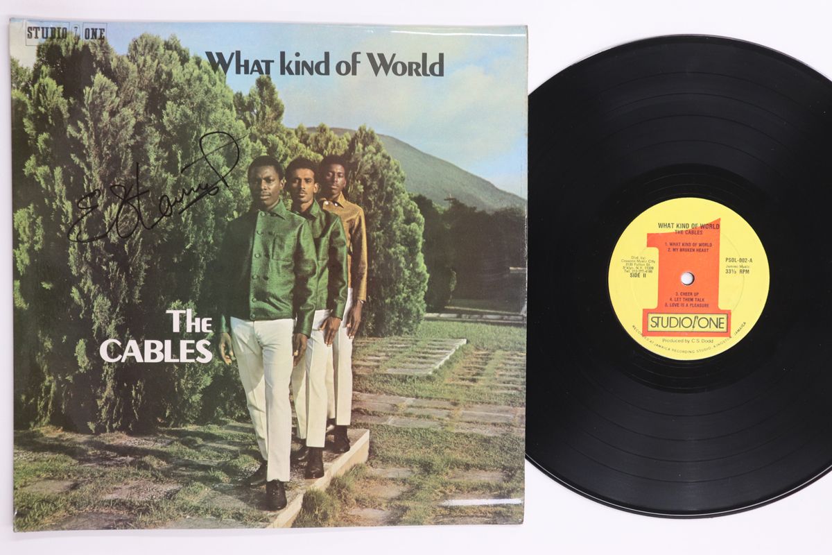 米LP Cables What Kind Of World PSOL002 STUDIO ONE 00260