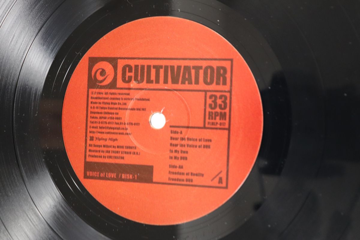 12 Cultivator Voice Of Love Disk-1 FLHLP17 Flying High 00250