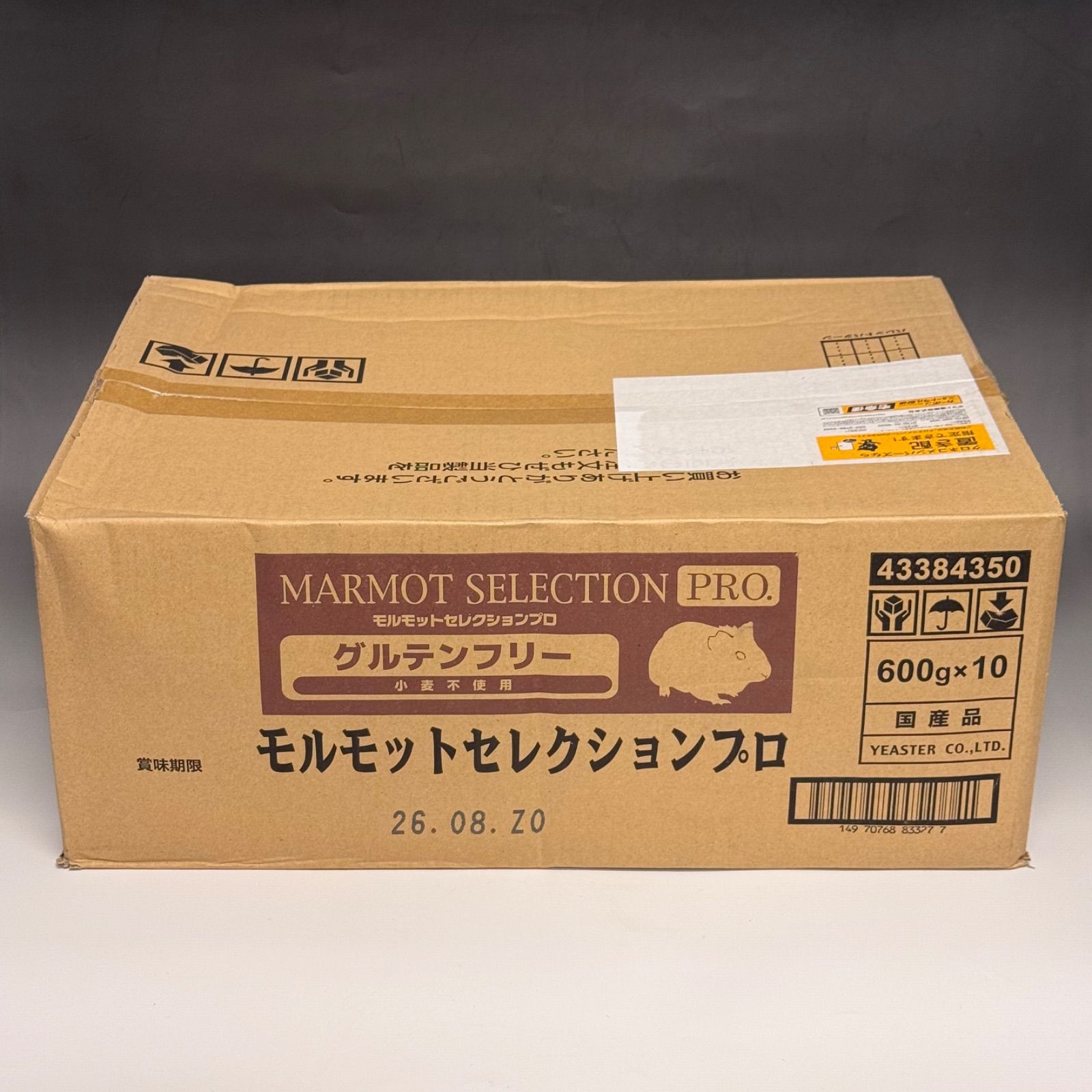 Stussy ラスタライオン 長渕剛 菅田将暉 着用 ステューシー 【公式通販】