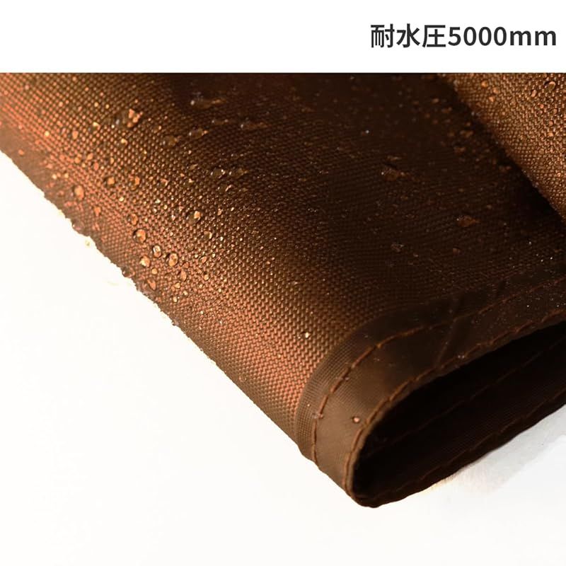 ディーオーディー