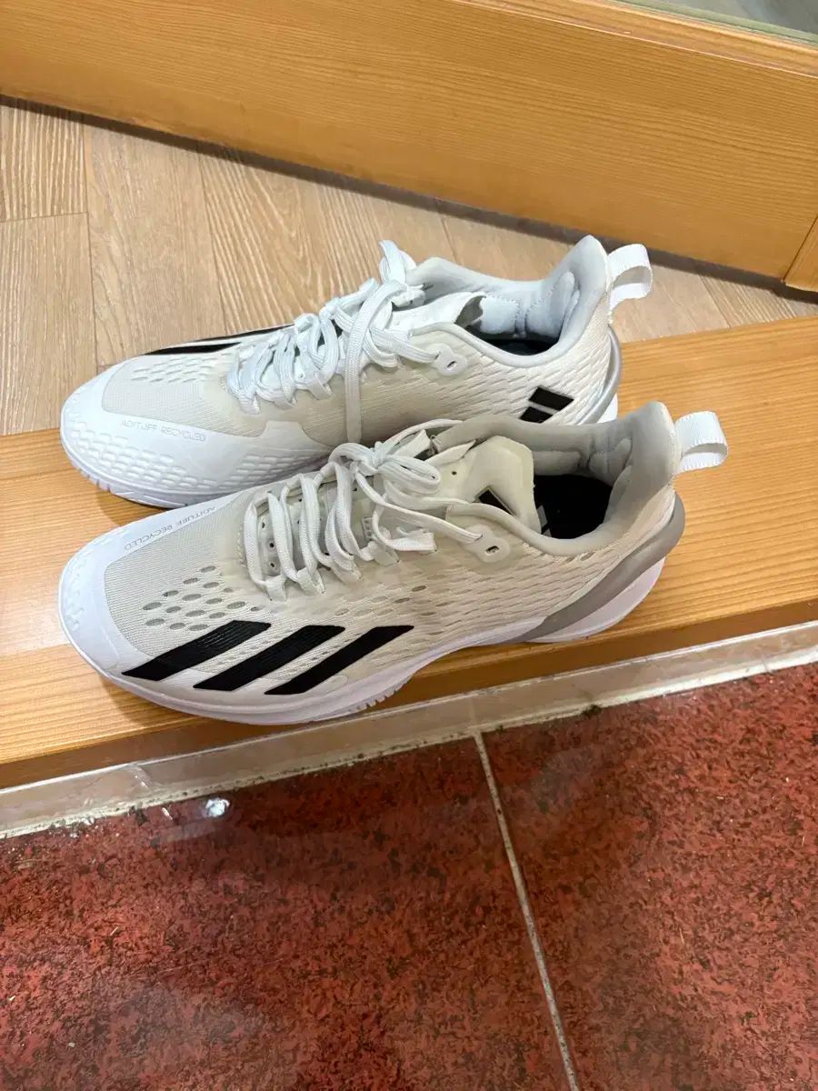 テニスシューズ 255