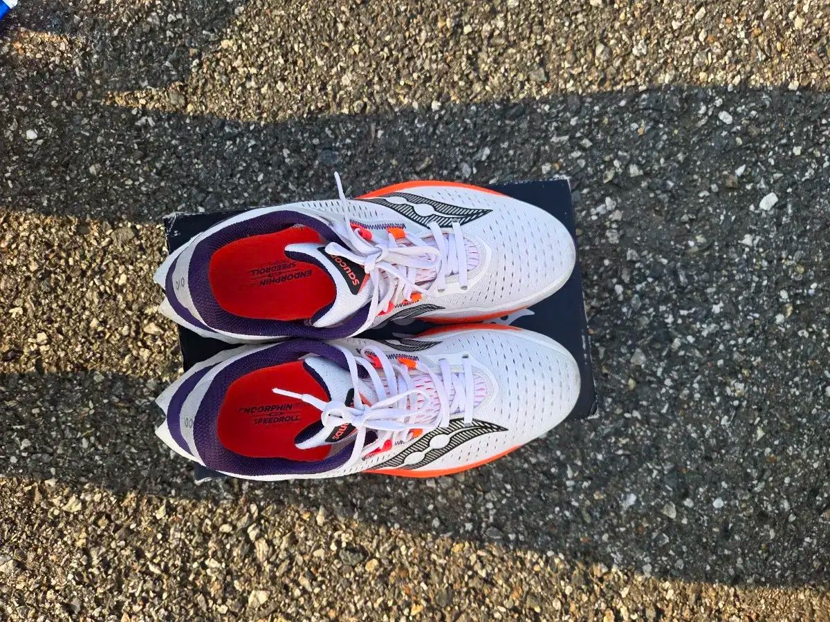 サッカニー エンドルフィン スピード 4 270