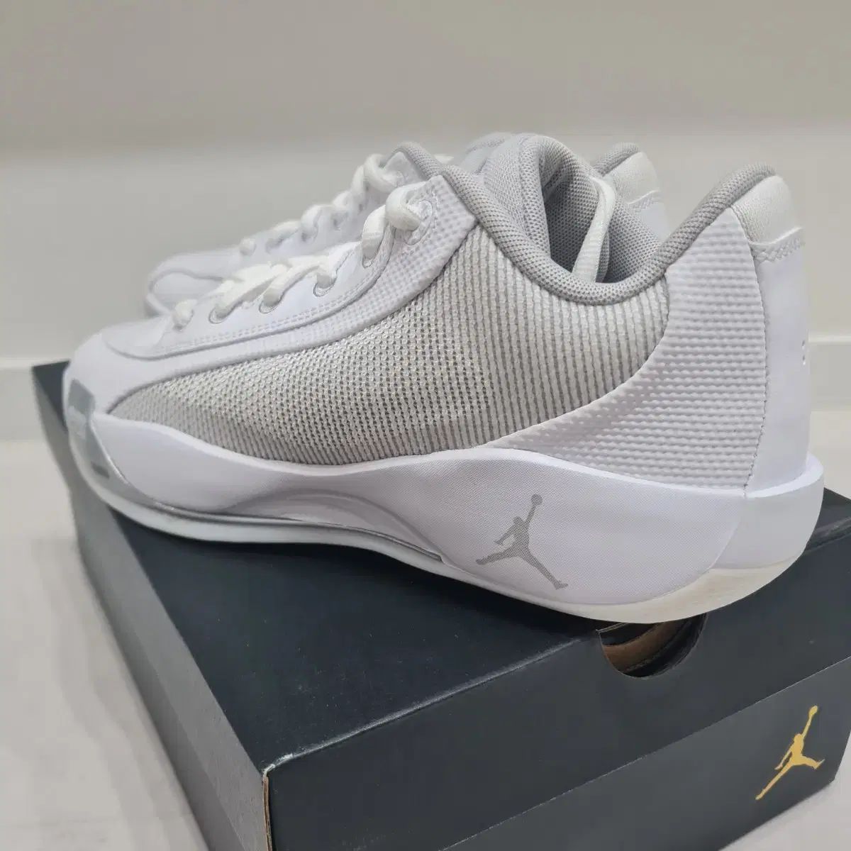 ジョーダン ルカ77 PF バスケシューズ 260