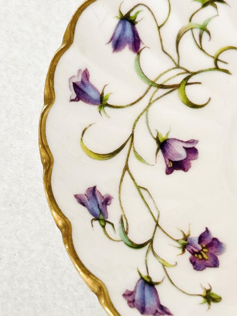 Spode スポード 廃盤 CANTERBURY（カンタベリー）カップ＆ソーサー