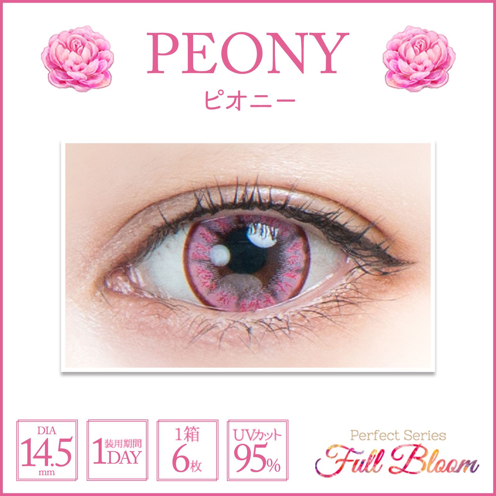 公式】パーフェクトシリーズ フルブルーム ピオニー(-1.00～-5.00