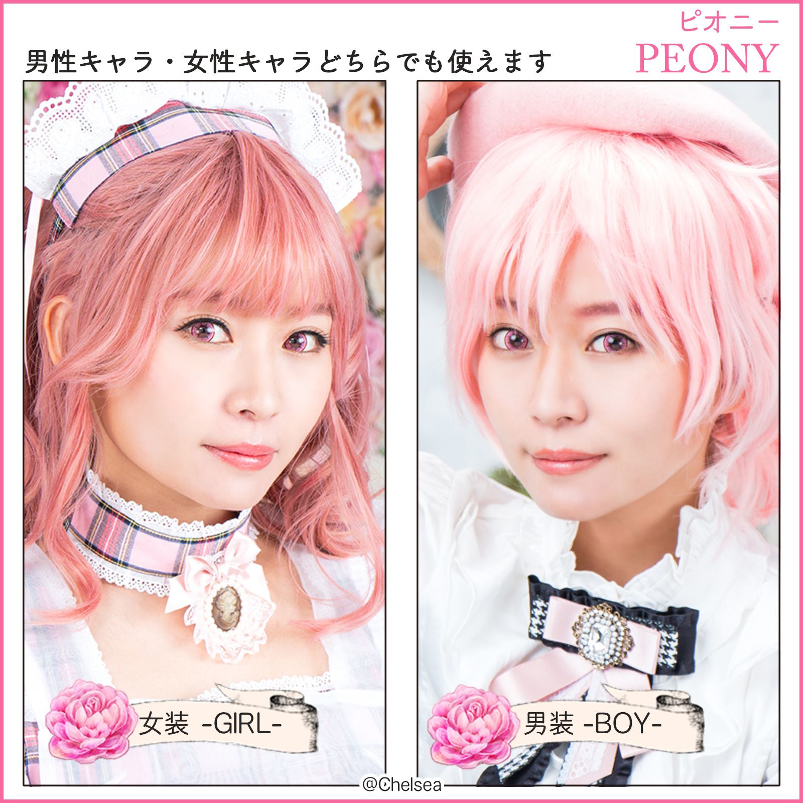 バカラ　ブルーム　ピオニー 公式】パーフェクトシリーズ フルブルーム ピオニー(-1.00～-5.00