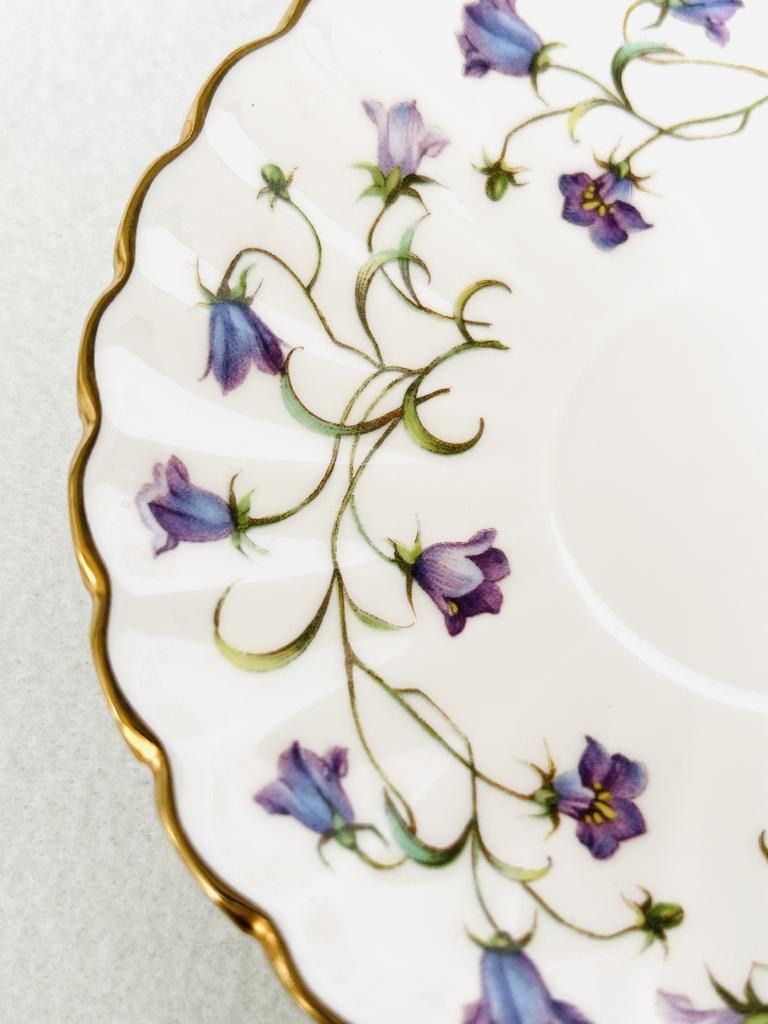 Spode スポード 廃盤 CANTERBURY（カンタベリー）カップ＆ソーサー