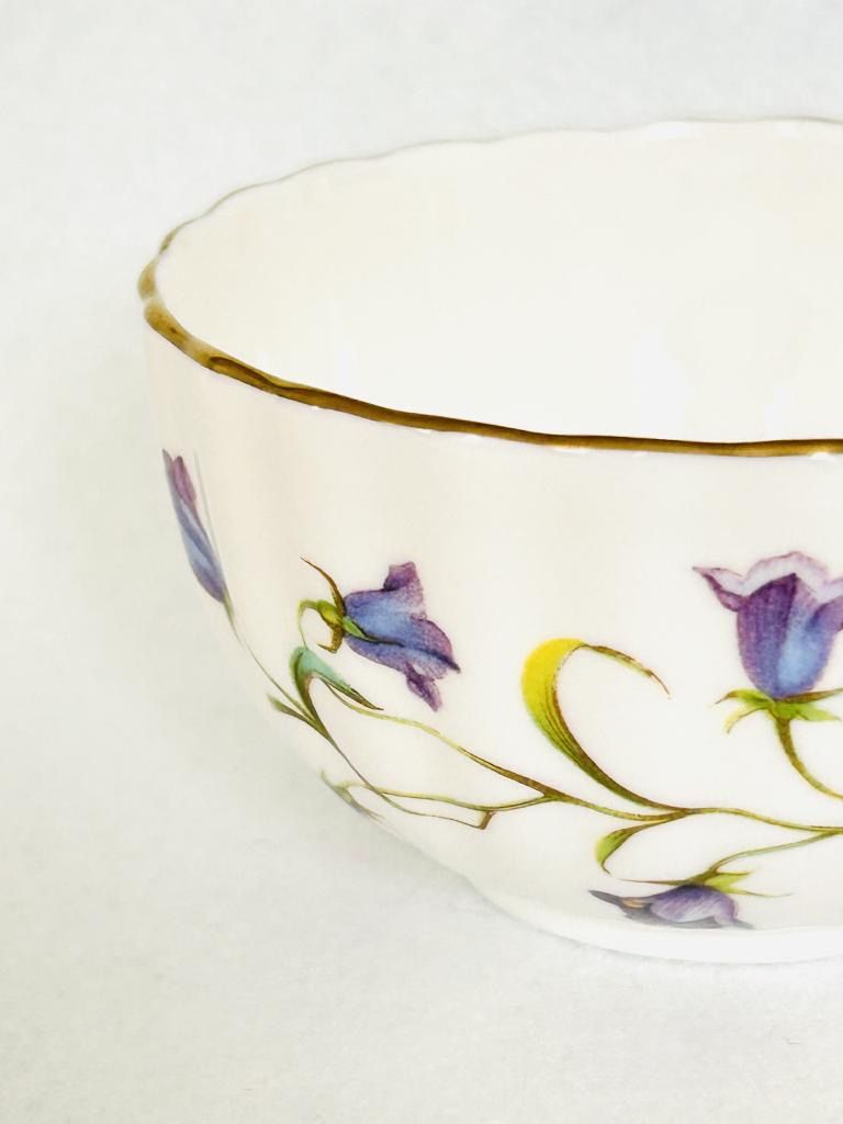 Spode スポード 廃盤 CANTERBURY（カンタベリー）カップ＆ソーサー