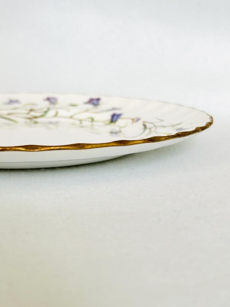 Spode スポード 廃盤 CANTERBURY（カンタベリー）プレート21cm 2枚SET