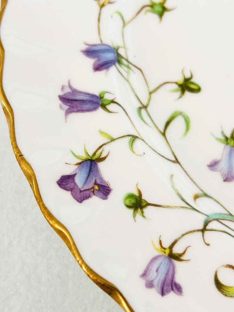 Spode スポード 廃盤 CANTERBURY（カンタベリー）プレート21cm 2枚SET