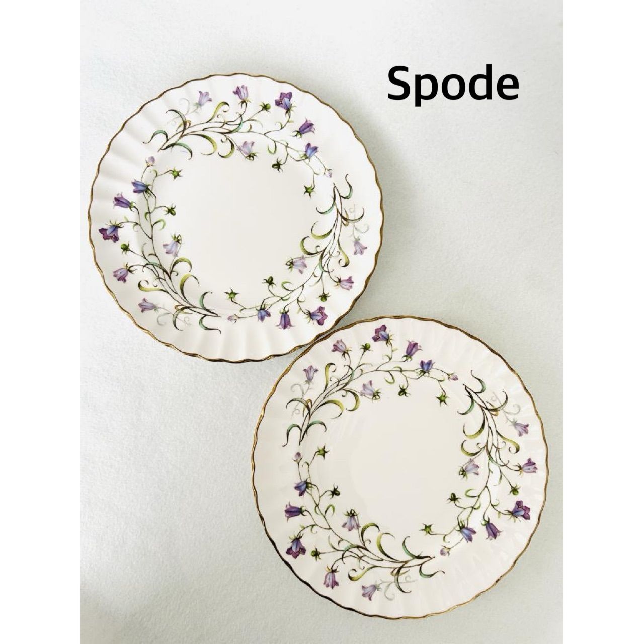 Spode スポード 廃盤 CANTERBURY（カンタベリー）プレート21cm 2枚SET