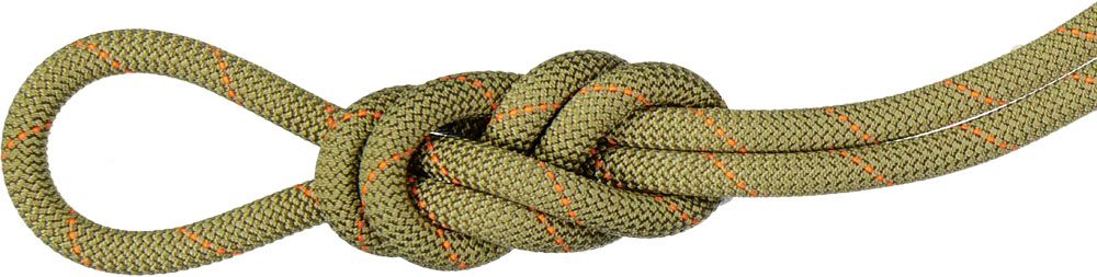 マムート MAMMUT アウトドア 9.9 Gym Workhorse Classic Rope 2010-04310 201004310A 01244 BOA