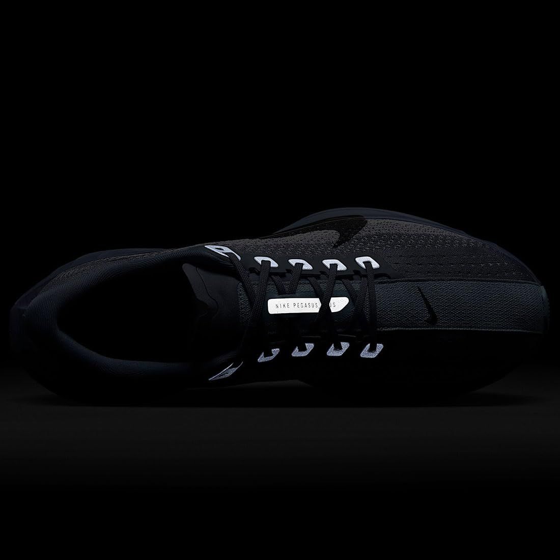 ナイキ] ペガサス プラス Pegasus Plus アッシェンスレート/ホワイト