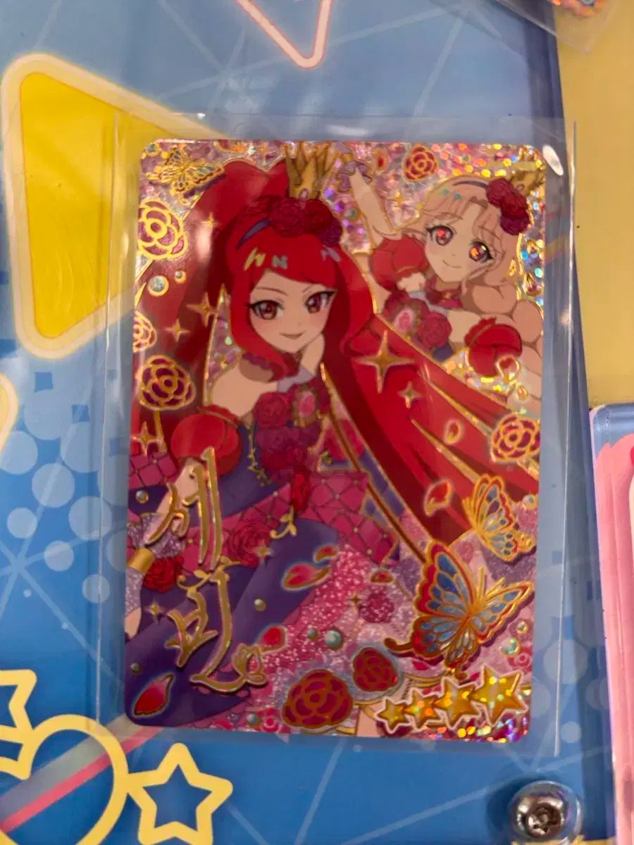 Yu様専用 ピュラトス ショコランテダーク 15kg