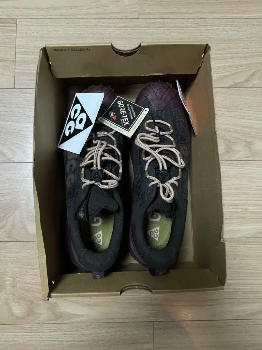 店舗 NIKE ACG マウンテン フライ 2 ロー GORE-TEX 270