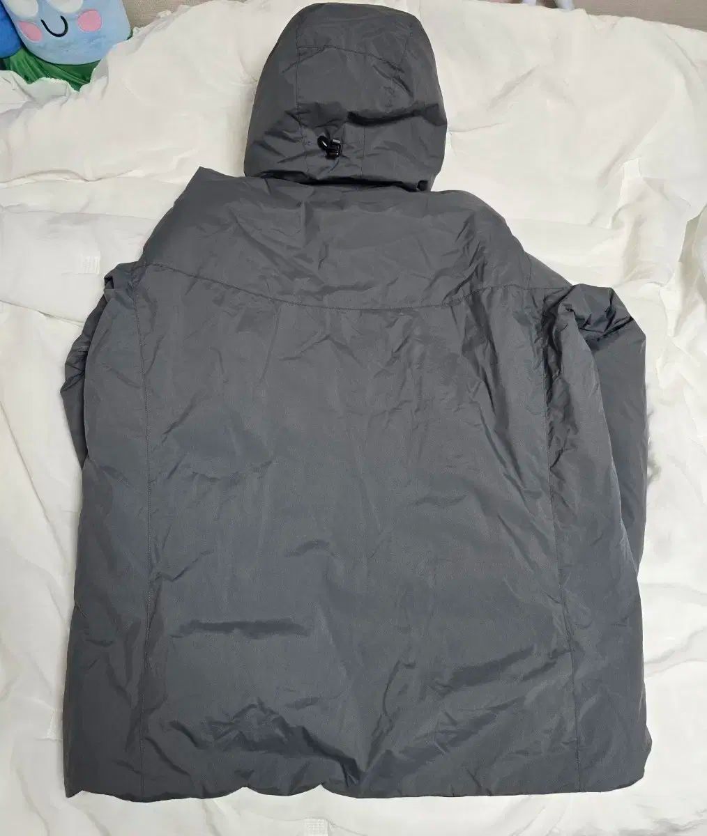 アークテリクス リーフ コールド WX フーディー LT Gen 2 ウルフ グレー