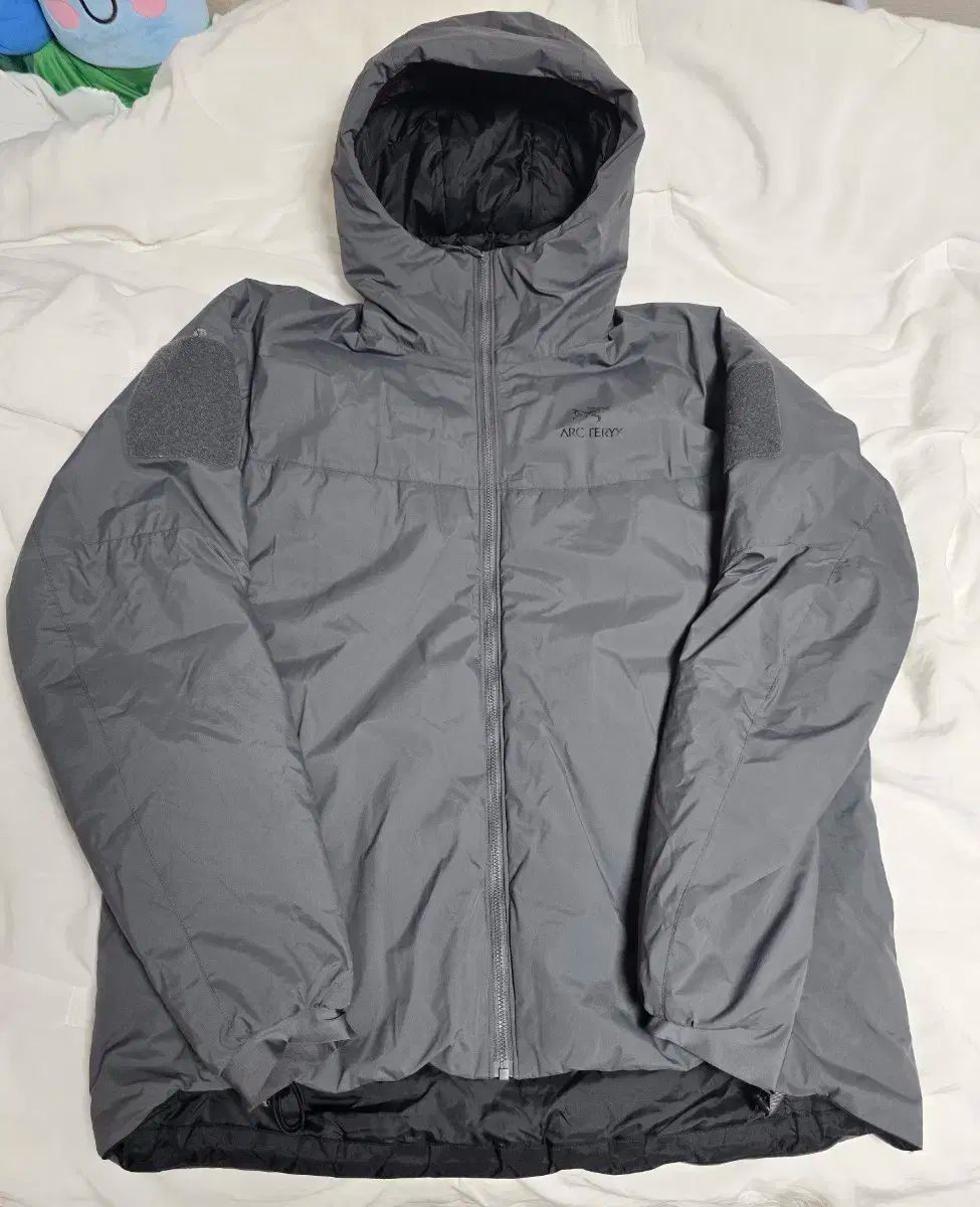 アークテリクス リーフ コールド WX フーディー LT Gen 2 ウルフ グレー
