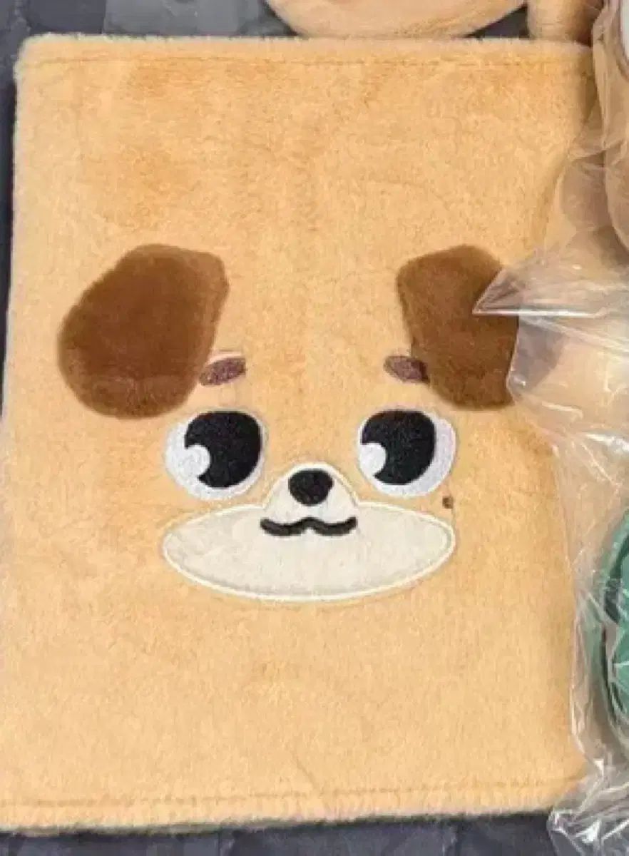 DAY6 ドウン IN 版バインダー