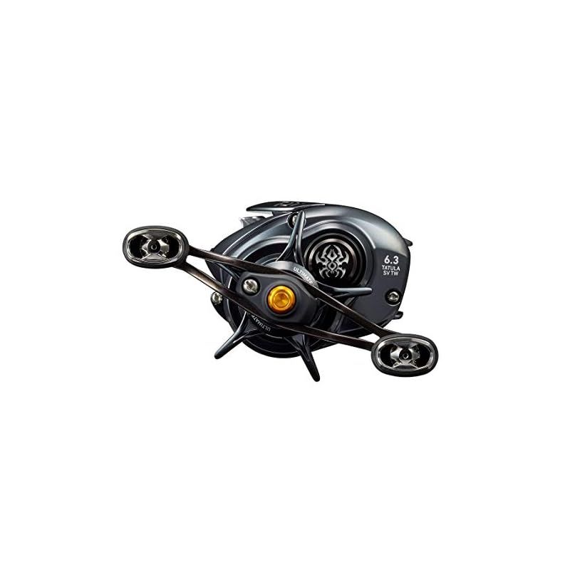 ダイワ(DAIWA) ベイトリール 20 TATULA SV TW 103HL(2020モデル