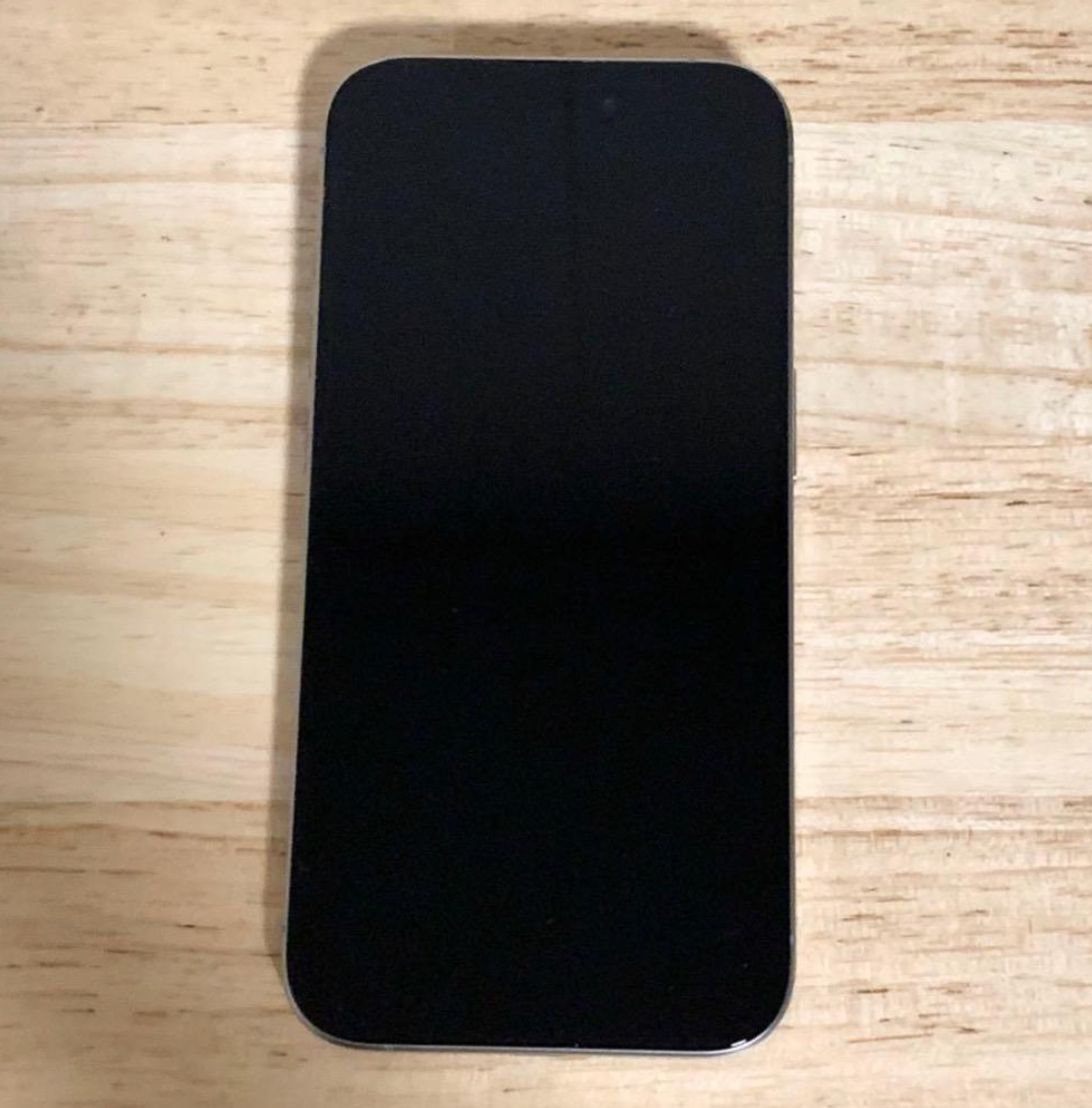 iPhone 15 Pro Max 256 gb SIMフリー版