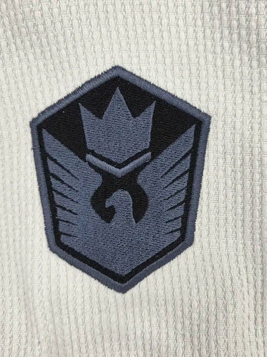 キングズバリーTシャツ 柔術着 a 2 l