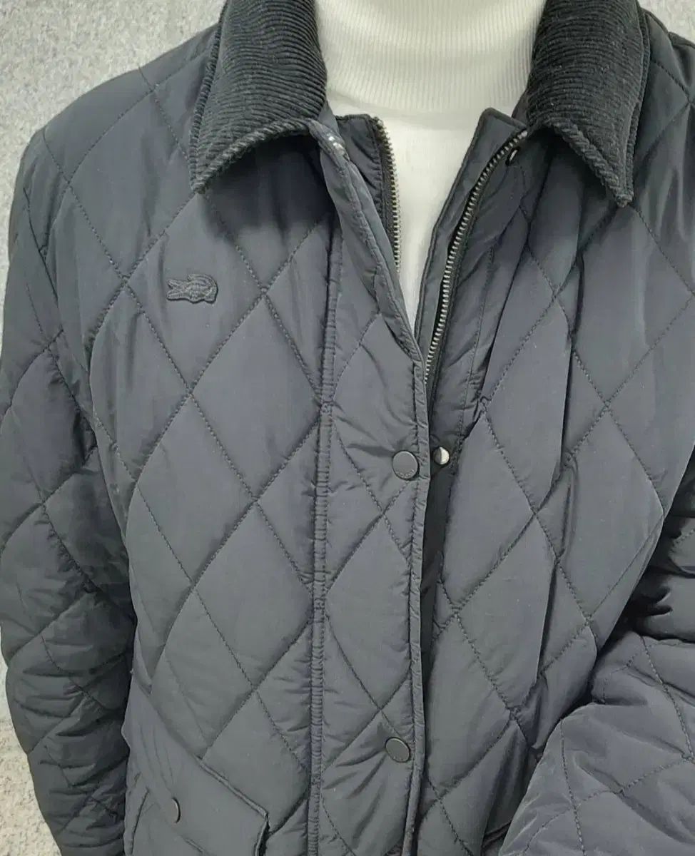 ラコステ キルティング ジャケット