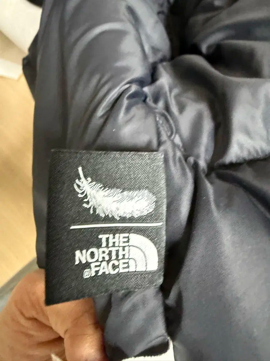 FACE ザノースフェイス