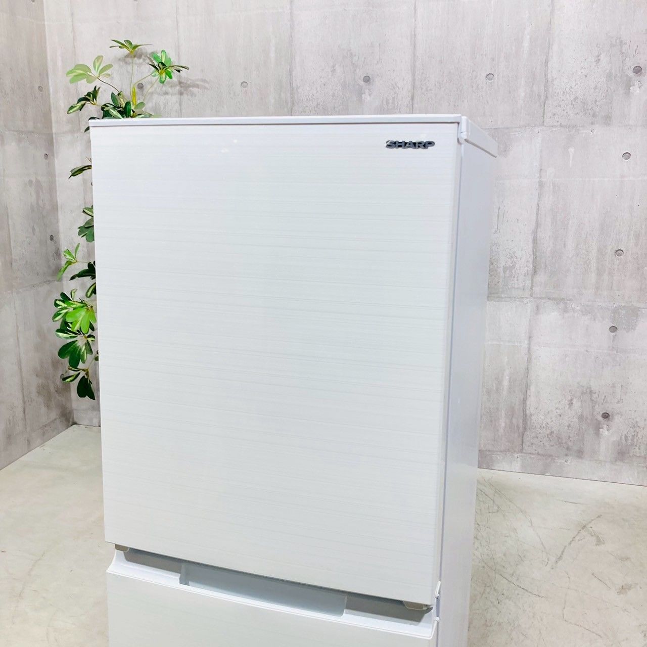 ♦️SHARP a4327 2ドア冷蔵庫 152L 2022年製 08♦️ - メルカリ