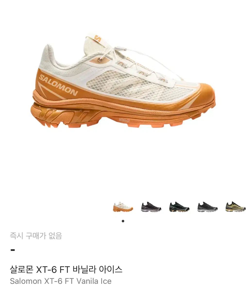 サロモン xt-6 ft 240 バニラ アイス