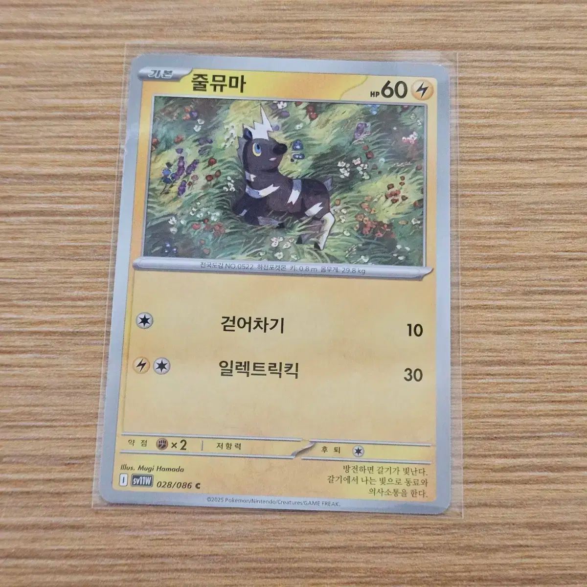 遊戯王 WCQ2015 プレイマット エルシャドールアノマリリス 遊戯