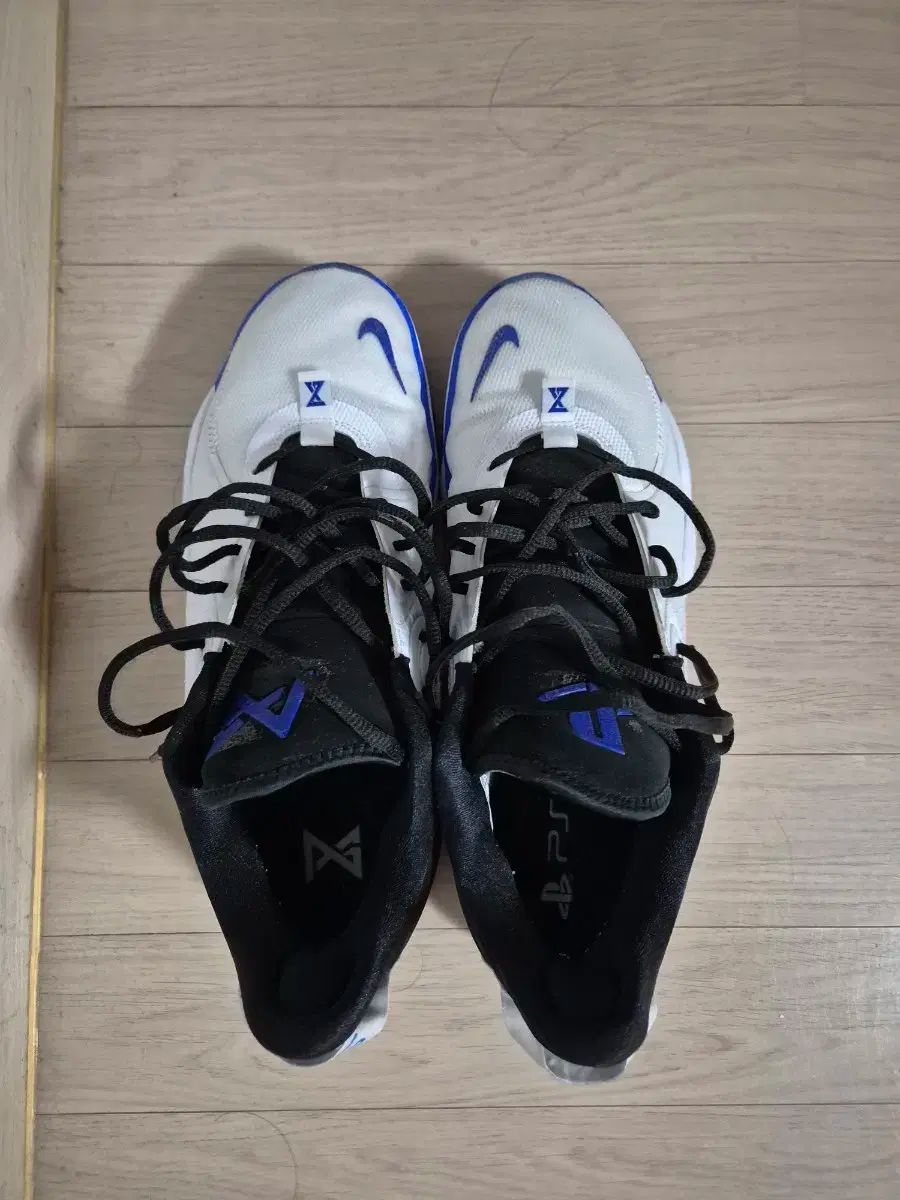 ナイキ PG 5 プレイステーション モデル バスケシューズ 310