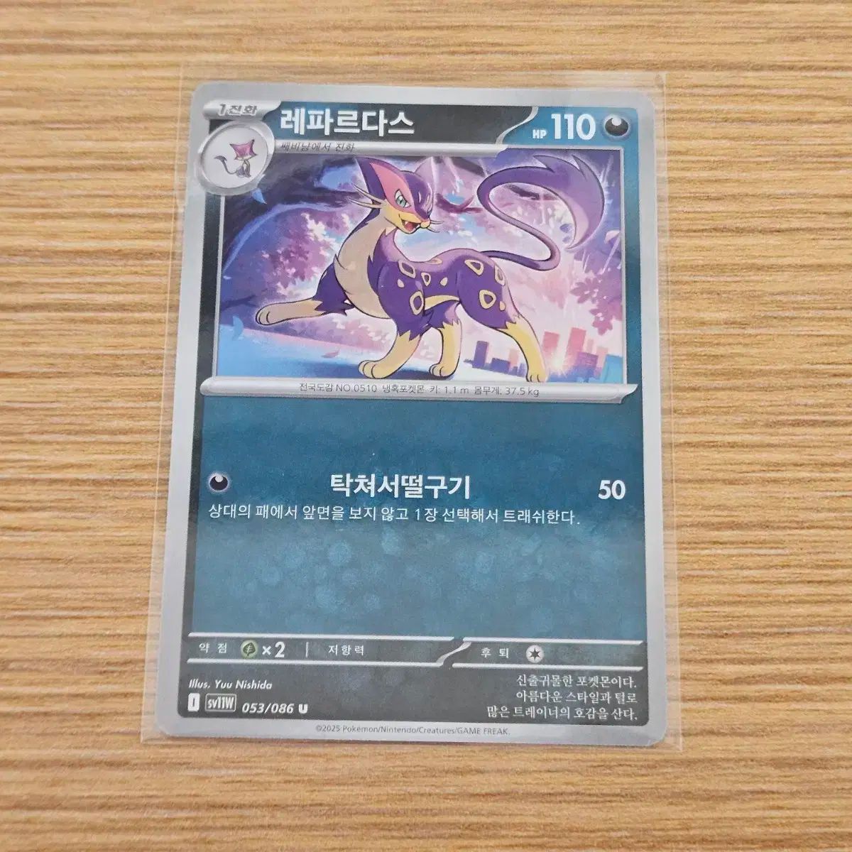 ポケモンカード ホワイトフレア レパルダス AR レパルダス AR ホワイト