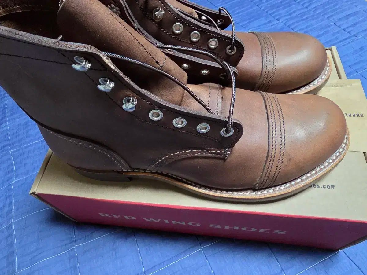 レッドウィング アイアンレンジャー 8111 アンバーハニ 255 ボックスフルセット