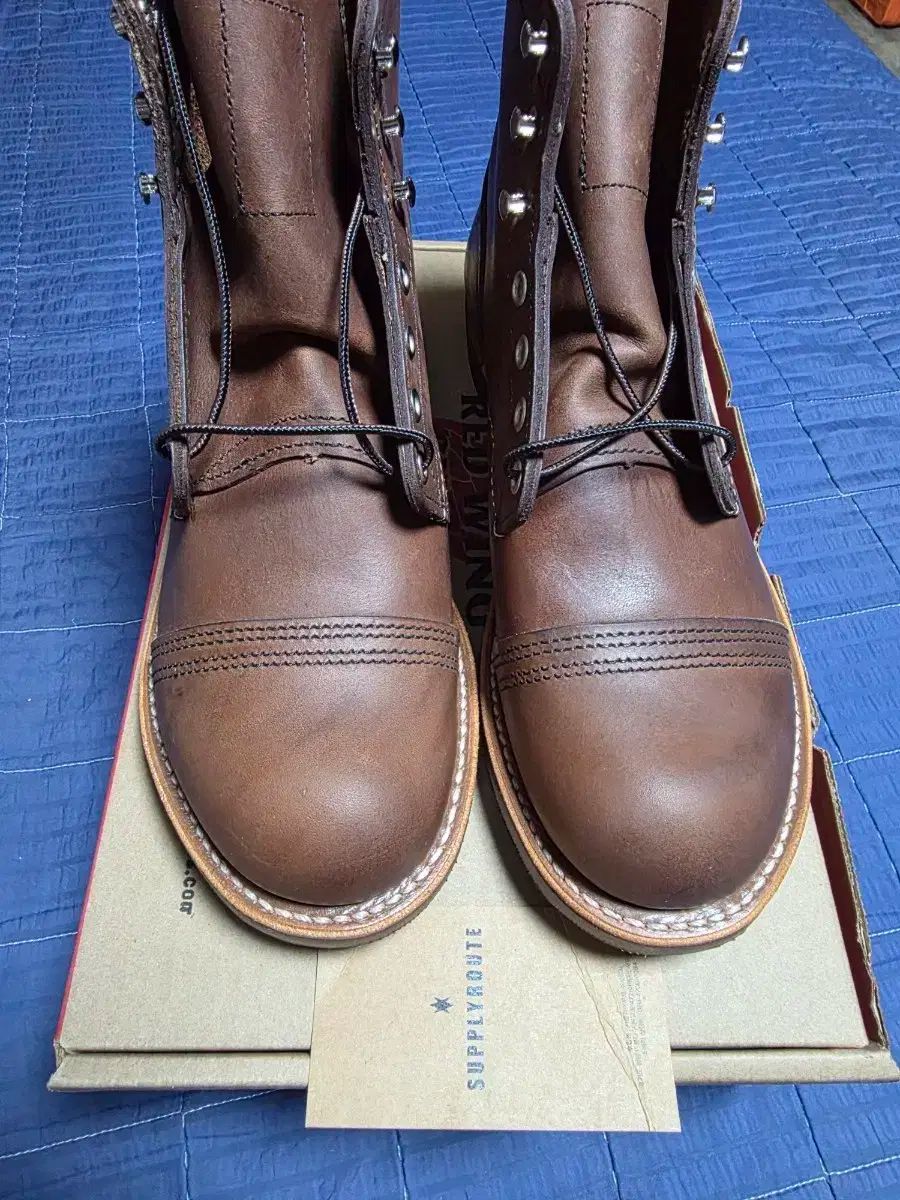 レッドウィング アイアンレンジャー 8111 アンバーハニ 255 ボックスフルセット