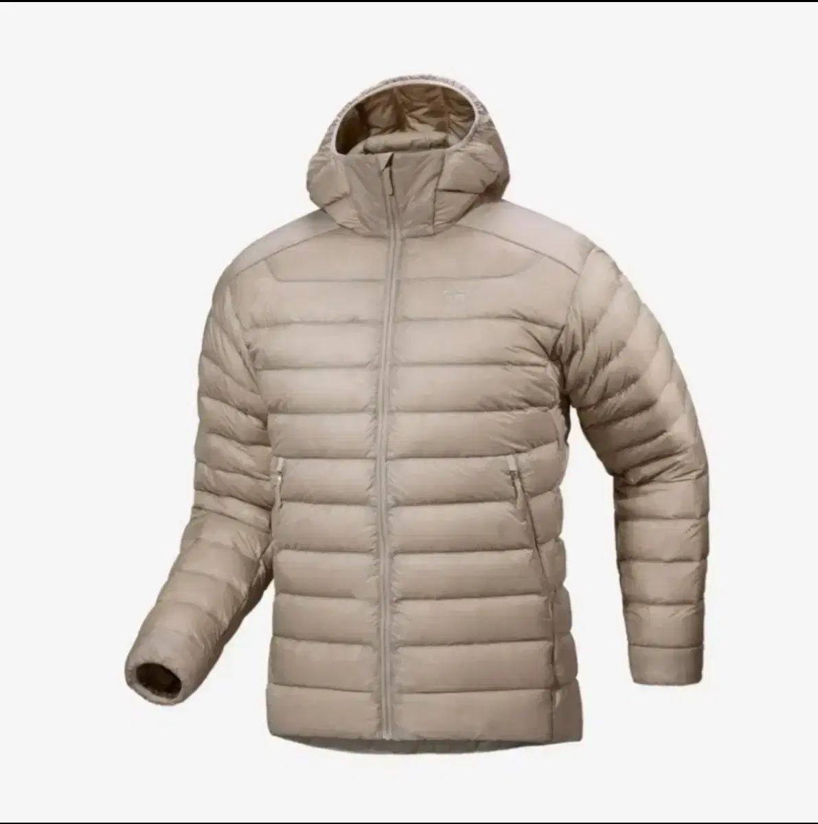 ARC TERYX Cerium アークテリクス セリウム フッド 룬