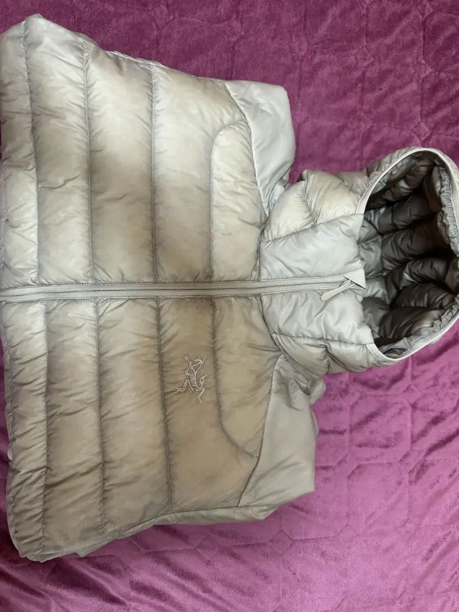 ARC TERYX Cerium アークテリクス セリウム フッド 룬