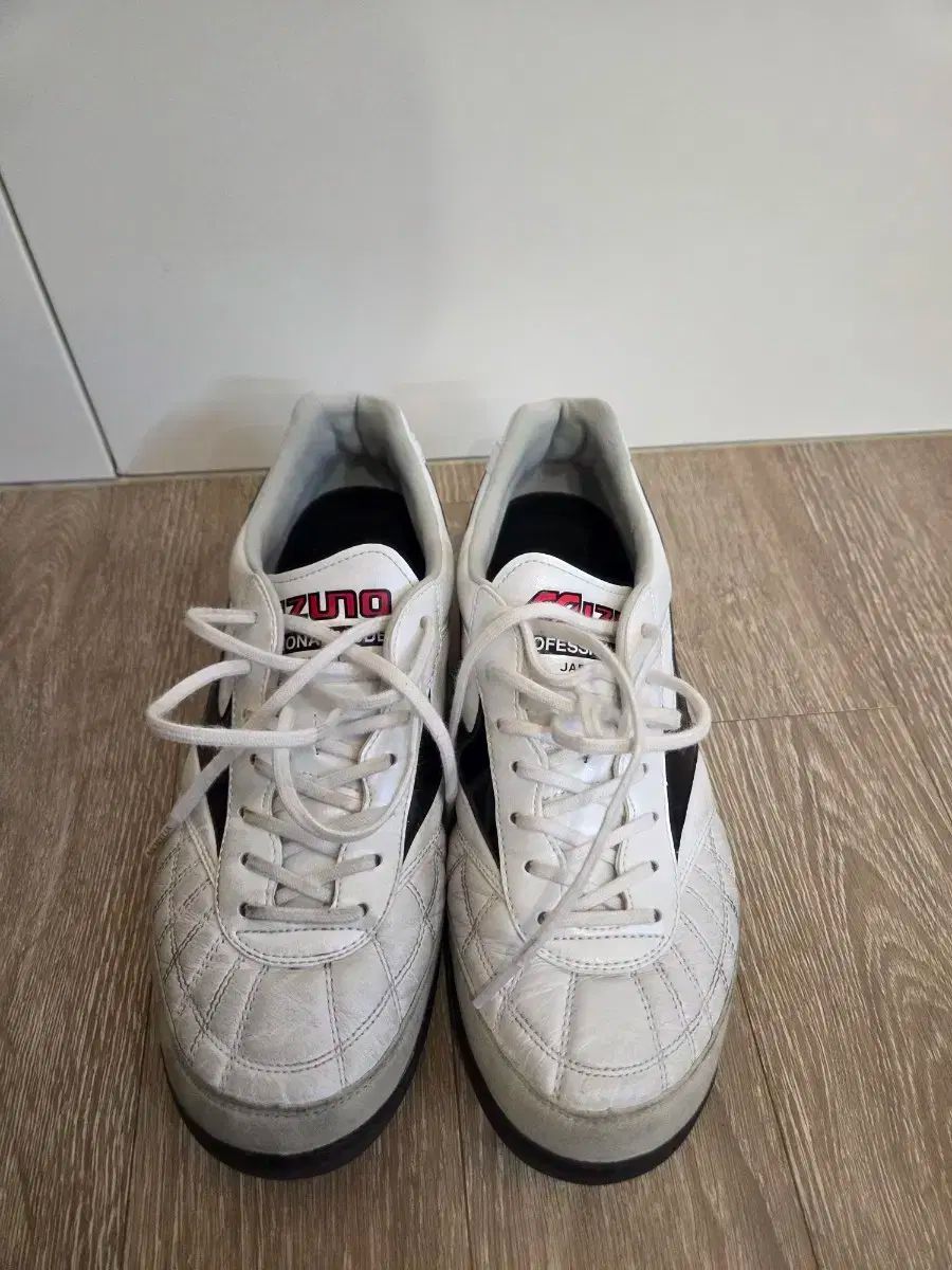 ミズノ モレリア サラ ジャパン tf 255